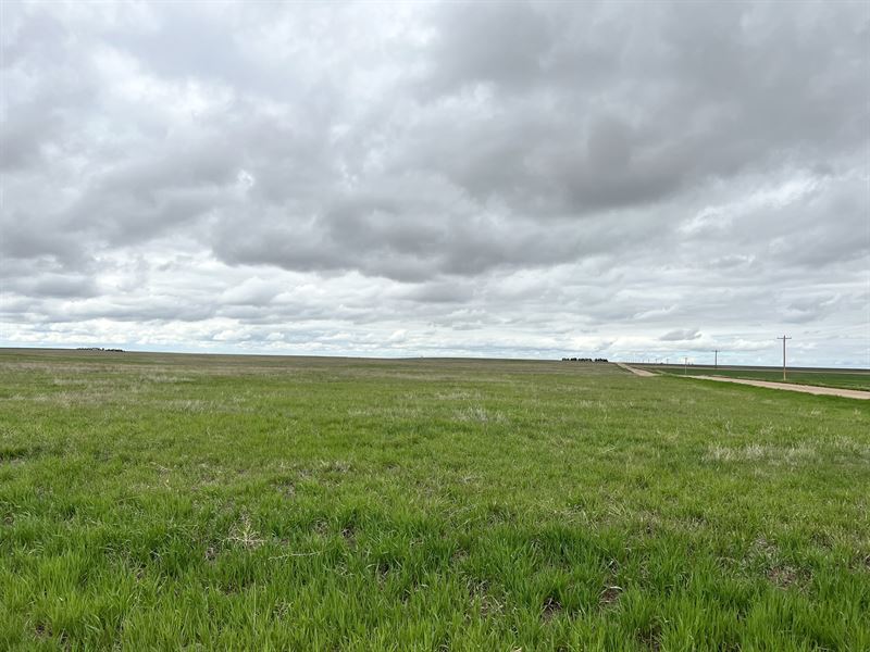 Shirley Crp Land Auction : Otis : Washington County : Colorado