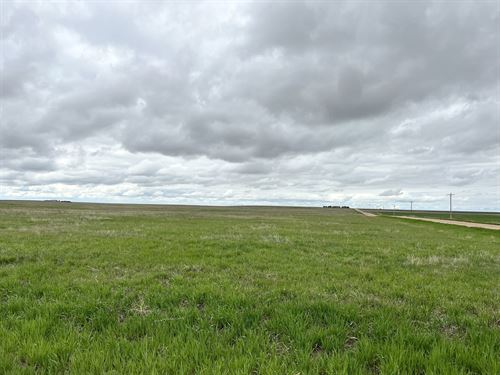 Shirley Crp Land Auction : Otis : Washington County : Colorado
