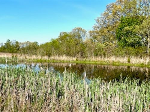 185+/- Acres Land & Timber : Big Clifty : Hardin County : Kentucky