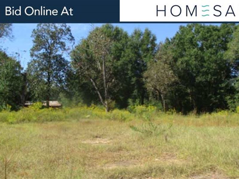 7.81 Ac in Elba, AL : Elba : Coffee County : Alabama