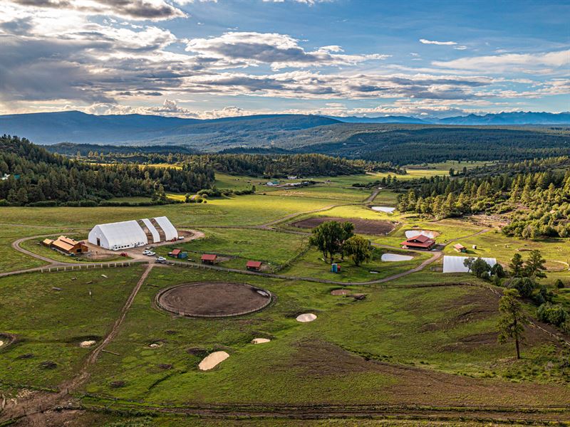 Colorado Ranch and Land Auction : Pagosa Springs : Archuleta County : Colorado