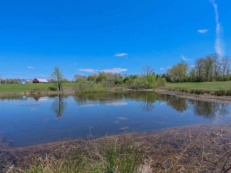 5.92 Ac Tract with Pond : Sparta : White County : Tennessee