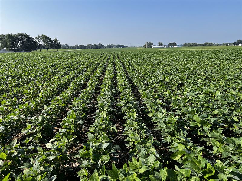 Whitley County, IN Land Auction : Churubusco : Whitley County : Indiana