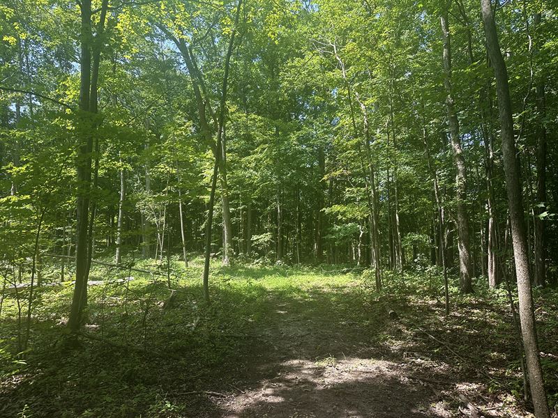 Steuben County, IN Land Auction : Hamilton : Steuben County : Indiana