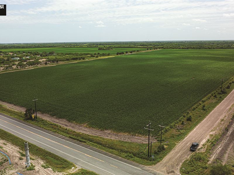 Rio Grande Valley Land Auction : Harlingen : Cameron County : Texas