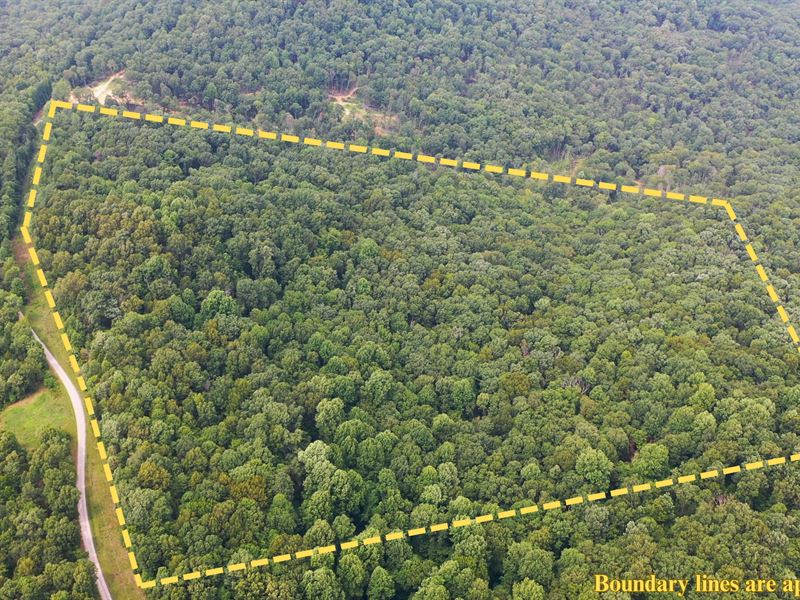 43 Recreational Acres in Elkton, KY : Elkton : Todd County : Kentucky