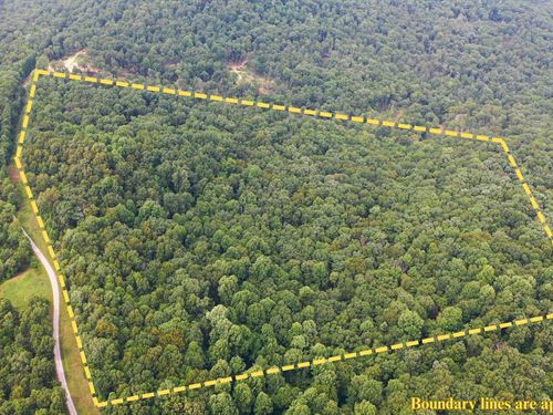 43 Recreational Acres in Elkton, KY : Elkton : Todd County : Kentucky