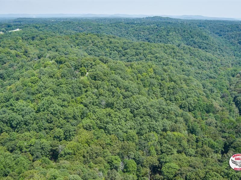 DW Mobile Home & 13.6+/- Ac : Byrdstown : Pickett County : Tennessee