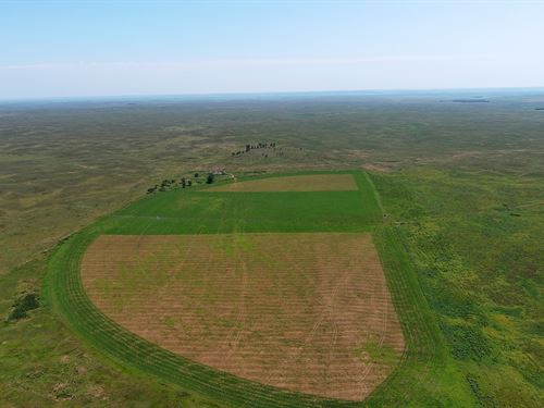 Stewart Estate Ranch & Equipment : North Platte : Lincoln County : Nebraska