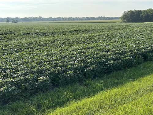 Allen County, IN Land Auction : Grabill : Allen County : Indiana