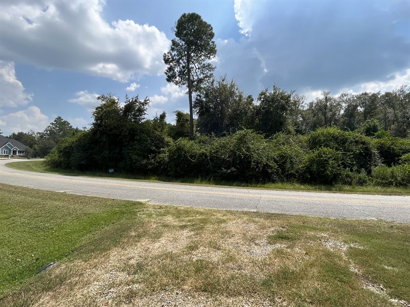 4 Beautiful Vacant Lots : Moultrie : Colquitt County : Georgia