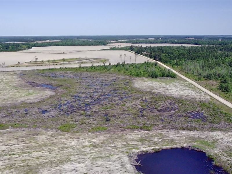 93 Acres Vacant Land : Lakeland : Lanier County : Georgia