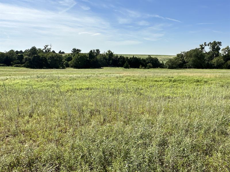 160 Acres of Grassland : Lookeba : Caddo County : Oklahoma