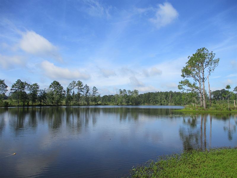 The Estate of James Dykes, Jr : Eastman : Dodge County : Georgia
