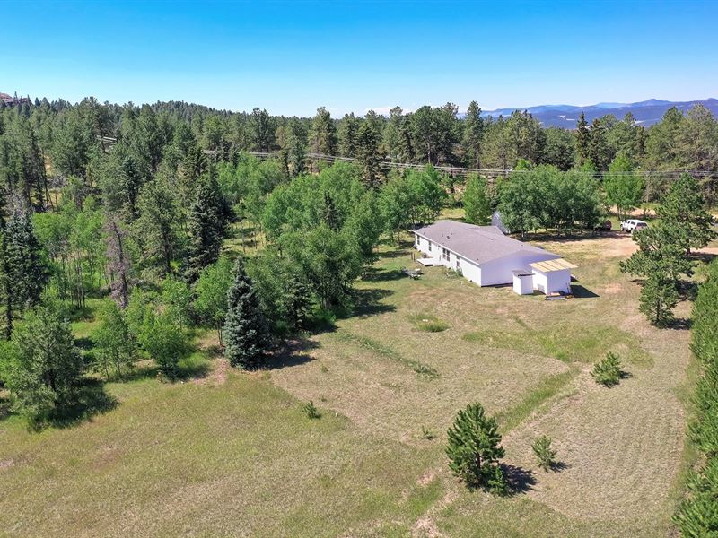 Home for Auction in Florissant, CO : Florissant : Teller County : Colorado