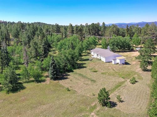 Home for Auction in Florissant, CO : Florissant : Teller County : Colorado