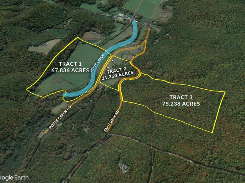 Absolute Trustee Auction : Paint Bank : Craig County : Virginia