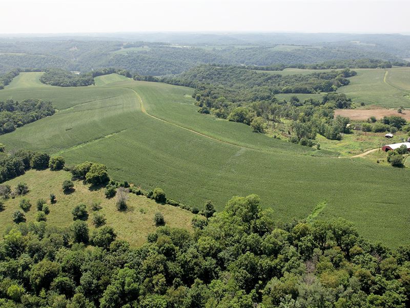 Grant County, WI Land Auction : Woodman : Grant County : Wisconsin