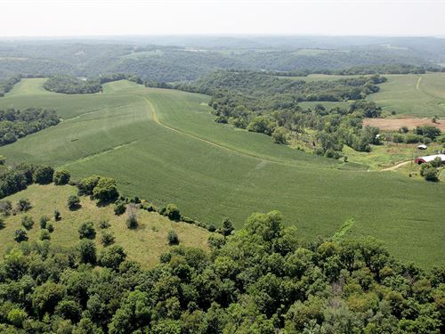 Grant County, WI Land Auction : Woodman : Grant County : Wisconsin