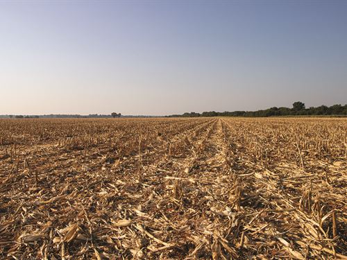 Garvin County, OK Land Auction : Pauls Valley : Garvin County : Oklahoma