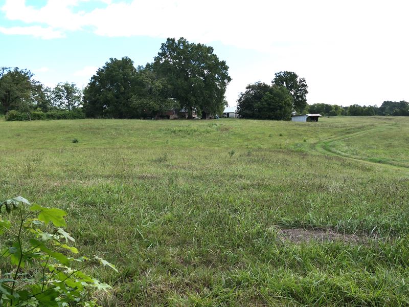 Beautiful Farm, Open Fields & Wood : South Boston : Halifax County : Virginia