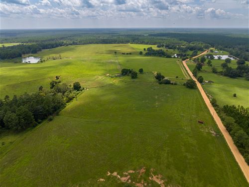 203 Acre Cattle Farm : Fitzgerald : Ben Hill County : Georgia
