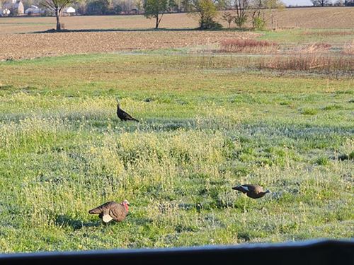 One Of A Kind Hunting Property : South Whitley : Whitley County : Indiana