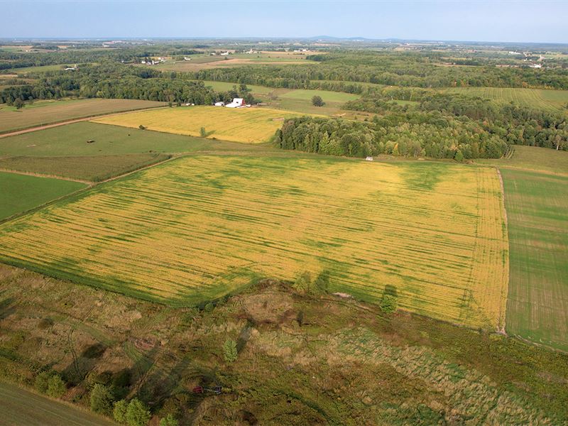 Marathon County, WI Land Auction : Stratford : Marathon County : Wisconsin