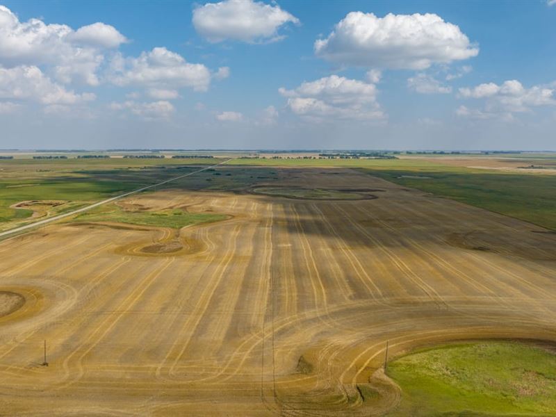 Auction Rolette Co. 850.67 Acres : Mylo : Rolette County : North Dakota