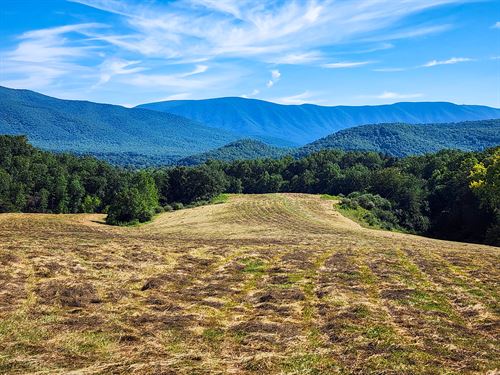 73 Scenic Acres Near Natural Bridge : Natural Bridge Station : Rockbridge County : Virginia