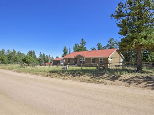 Home for Auction in Florissant, CO : Florissant : Teller County : Colorado
