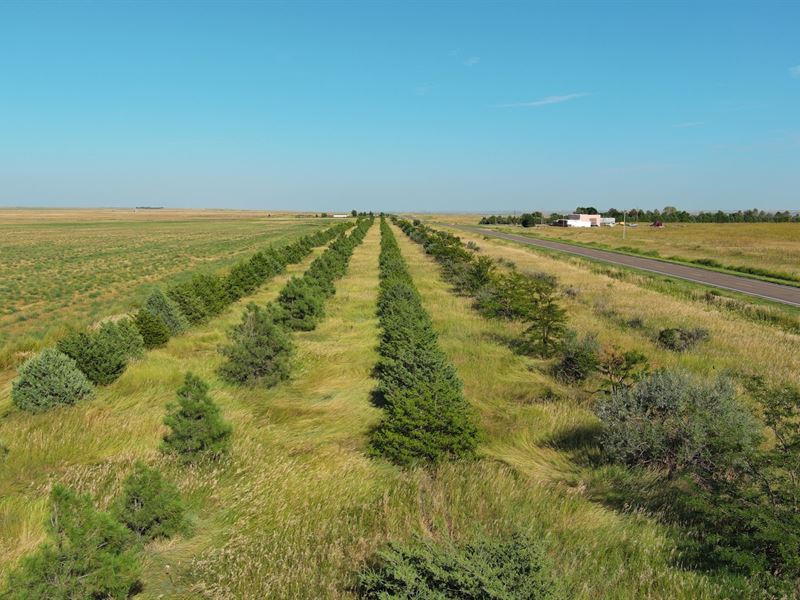 Castle Dryland / Crp Auction : Big Springs : Keith County : Nebraska