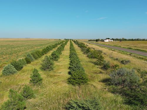 Castle Dryland / Crp Auction : Big Springs : Keith County : Nebraska