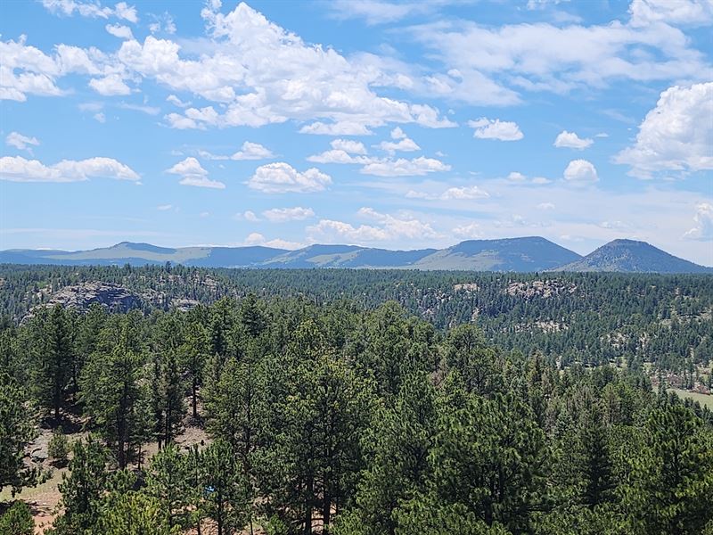 Colorado Land for Sale At Auction : Florissant : Teller County : Colorado