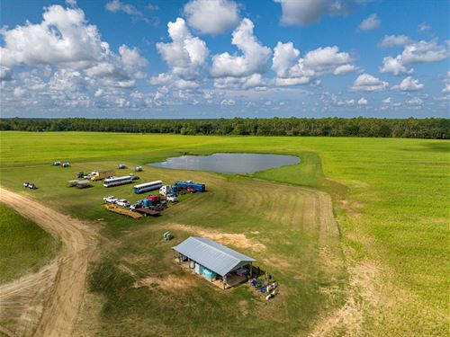 Dean Farm on 568 Acres : Bainbridge : Decatur County : Georgia