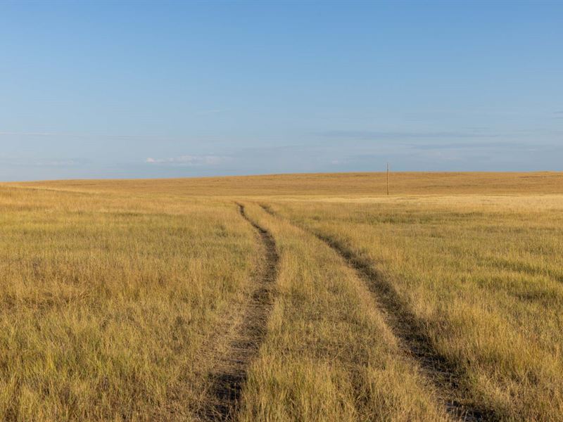 WY Ranch Property Absolute Auction : Gillette : Campbell County : Wyoming