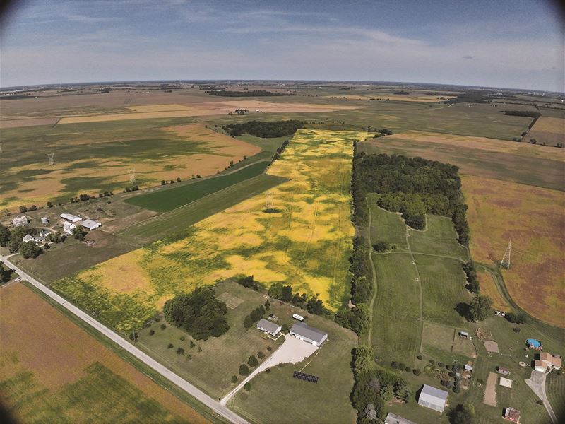 5 Grain Farms, Various Locations : London : Madison County : Ohio