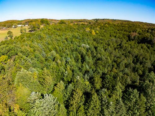 Land for Sale in Missouri : Rolla : Phelps County : Missouri