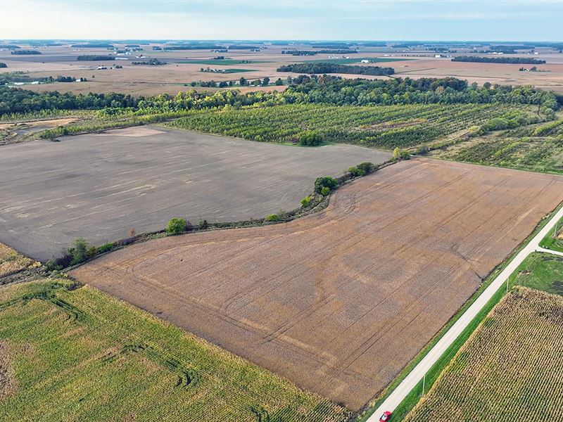 Adams County, IN Land Auction : Berne : Adams County : Indiana