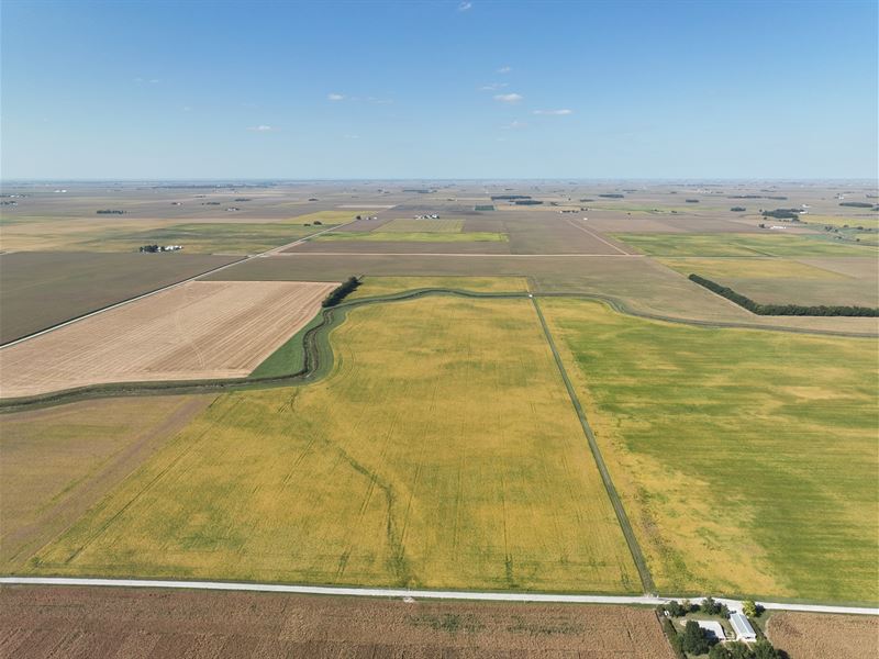 Ware Farms Inc. Farmland Auction : Tuscola : Douglas County : Illinois