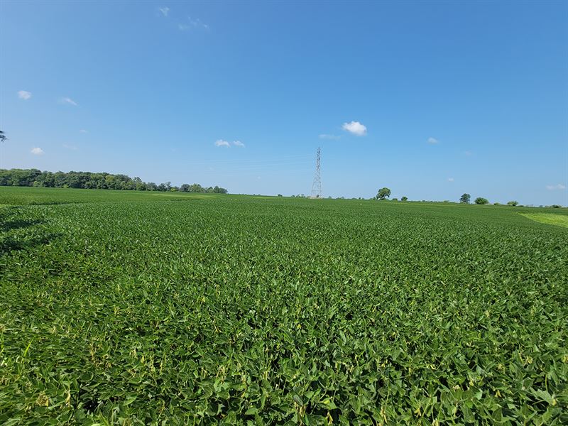 Franklin County, Indiana Grain Farm : Cedar Grove : Franklin County : Indiana