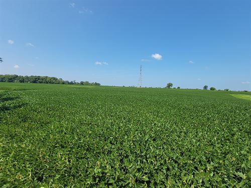 Franklin County, Indiana Grain Farm : Cedar Grove : Franklin County : Indiana