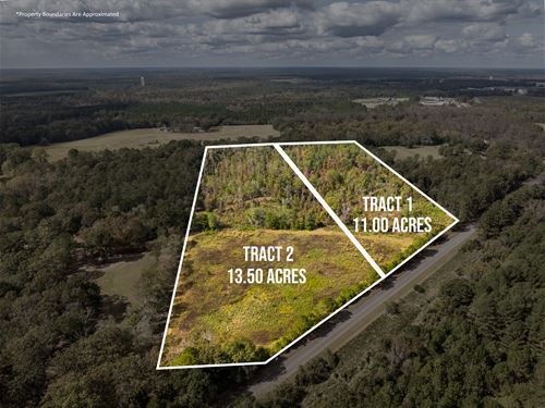 25 Acres in 2 Tracts : Ellaville : Schley County : Georgia