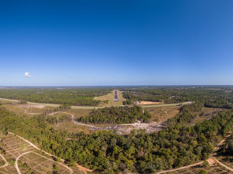 Prime Land Auction : Sylvester : Worth County : Georgia
