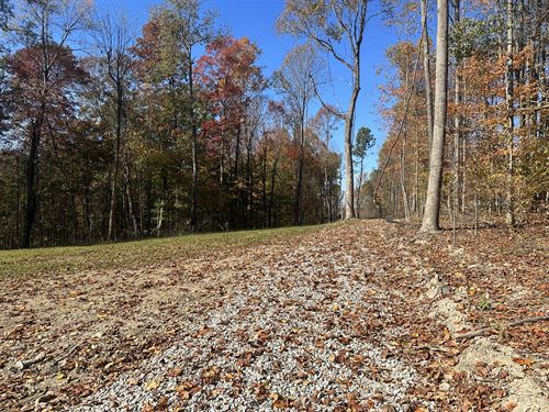 26.1+/- Acres : Albany : Clinton County : Kentucky