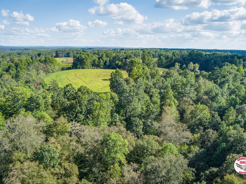 Home & 95.38+/- Acres : Gaines : Jackson County : Tennessee