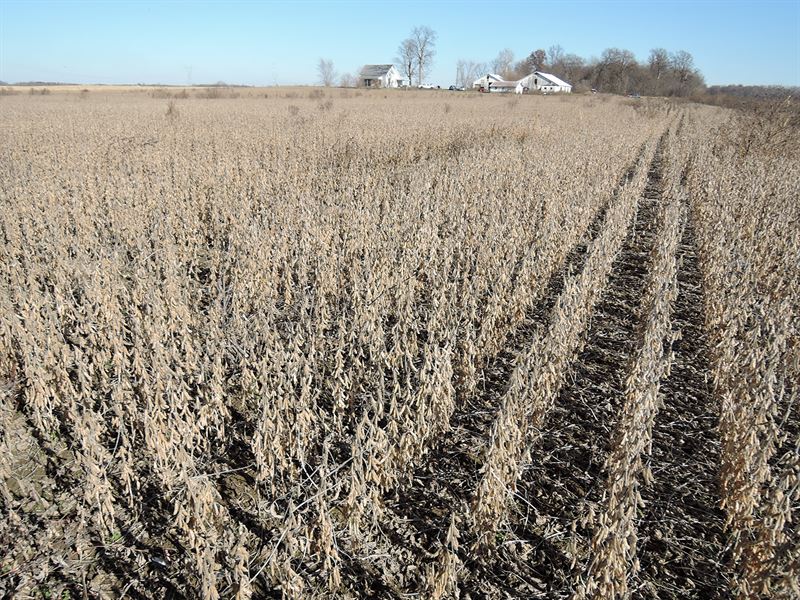 Henry County, IN Land Auction : Middletown : Henry County : Indiana
