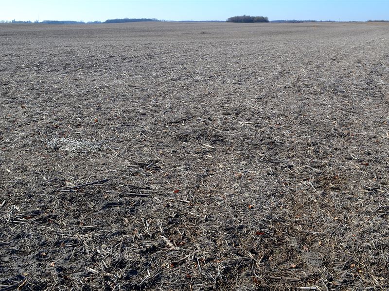 Newton County, IN Land Auction : Morocco : Newton County : Indiana