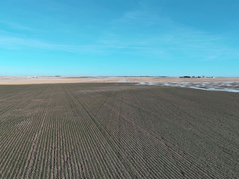 Krause Tuttle Farming Llc Dryland : Chappell : Deuel County : Nebraska