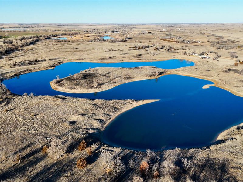 Auction, Lazy : Kinsley : Edwards County : Kansas